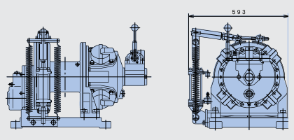 Plants: image 2 0f 2 thumb